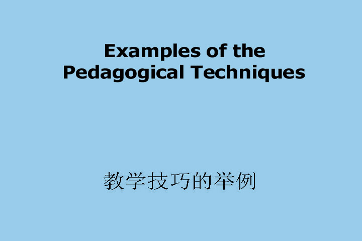 Examples of Pedagogical Techniques