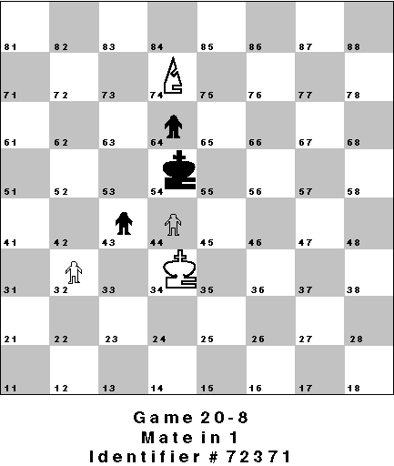 Game 20-8