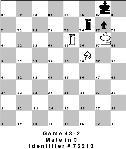 Game 43-2