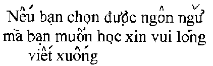 If Other Language in Vietnamese