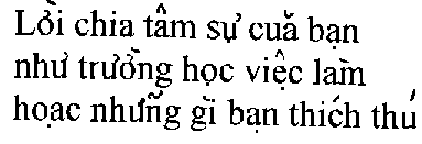 Self-description in Vietnamese